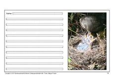 Amsel-eigene-Texte-14.pdf